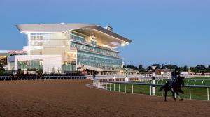 Belmont Park, Americas Best Racing Sunday Selections, Noel Michaels handicapping